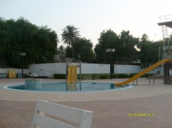 pisci