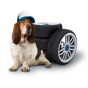 buscador coches